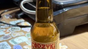 Комбуча Godzyki