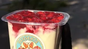 ВИШНЕВИЙ ПІНЧЕР