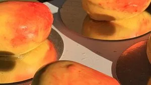 КОРПУСНЕ МАНГО