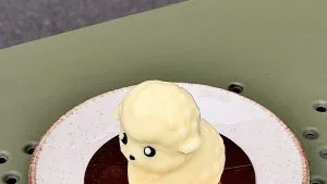 КОРПУСНИЙ БАРАШКА